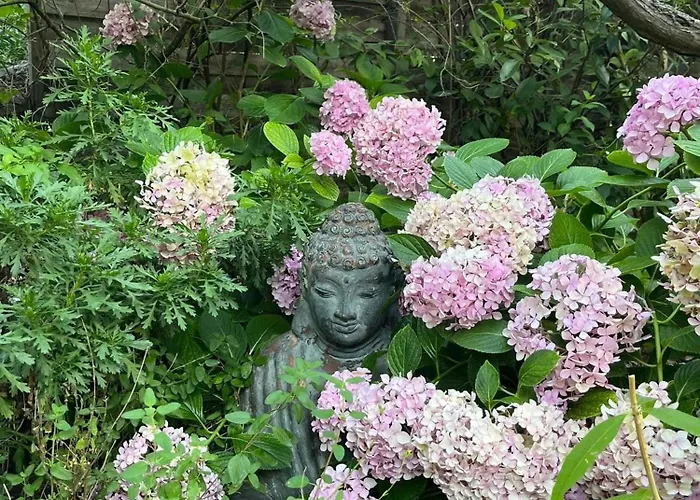 La Maison De Justine Bed and breakfast Grimaud