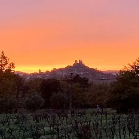 La Maison De Justine Grimaud