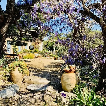 La Maison De Justine