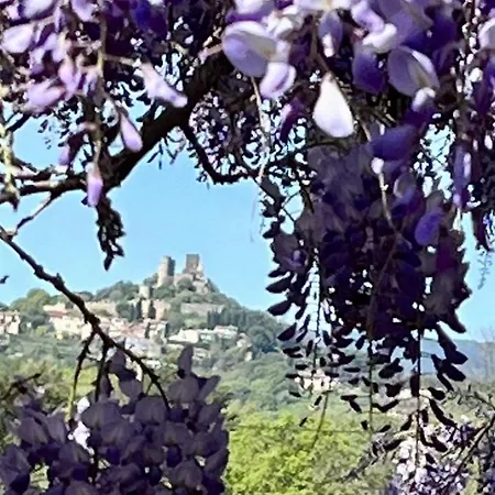 La Maison De Justine Couette-café