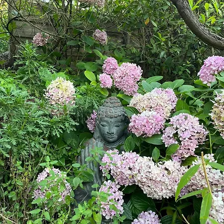 La Maison De Justine 住宿加早餐酒店 格里莫