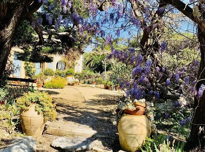 La Maison De Justine