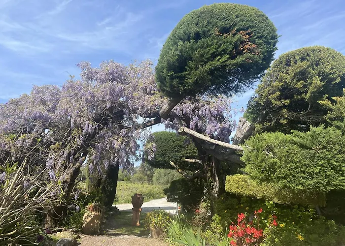 La Maison De Justine Frühstückspension 3*